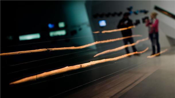 Ein internationales Forschungsteam berichtet, die hölzernen Waffen seien nur etwa 200.000 Jahre alt - statt 300.000 Jahre wie bislang vermutet. (Archivbild)