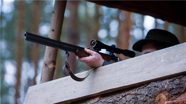 Ein Jäger auf einem Hochstand zielt mit seinem Gewehr. 