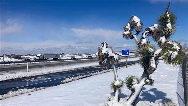 Ein Joshua-Baum ist in der Nähe des Cajon-Passes in Oak Hills mit Schnee bedeckt.