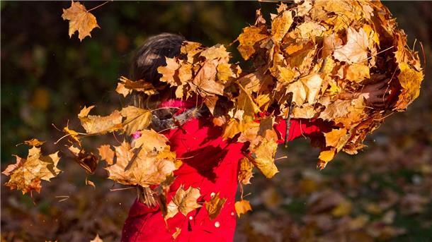 Hauptsache Spielen Ein Kind rennt mit bunten Herbstblättern über eine Wiese.
