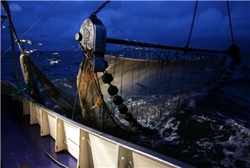 Ein Krabbenkutter fährt mit hochgezogenem Grundschleppnetz auf See. Angesichts neuer EU-Pläne für eine nachhaltigere Fischerei sehen Fischer an der deutschen Nordseeküste ihre Existenz in Gefahr.