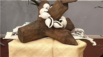 Ein kunstvoller Teil eines Kanus ist vom Bremer-Überseemuseum an das Land Samoa zurückgegeben worden.