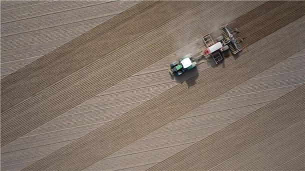 Ein Landwirt bestellt im brandenburgischen Jacobsdorf sein Feld.