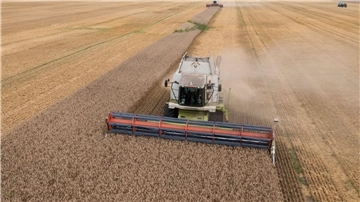 Ein Mähdrescher erntet Weizen in der Ukraine. Russland sperrt sich gegen eine Verlängerung des Abkommens zur Ausfuhr von ukrainischem Getreide über das Schwarze Meer.