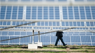 Ein Mann geht zwischen Modulen einer Freiflächensolaranlage entlang. 