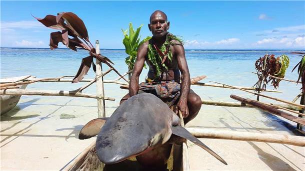 Papua-Neuguinea: Haie anlocken mit uralten Liedern Ein Mann sitzt beim „Shark Calling Festival“ auf einem erlegten Hai.