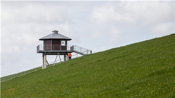 Nordsee Wattenmeer Vogelbeobachtung