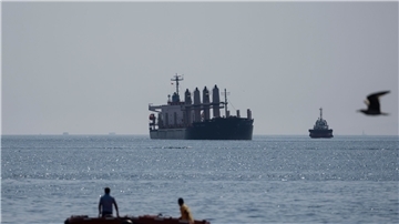 Ein mit Getreide beladene Frachtschiff auf dem Marmarameer bei Istanbul (Symbolbild).