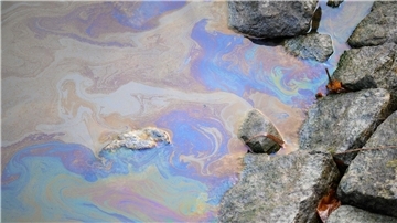 Ein Ölfilm auf dem Wasser des Nord-Ostsee-Kanals. Die weltweit meistbefahrene künstliche Seewasserstraße bleibt nach einem Ölunfall voraussichtlich mindestens bis zum 28. Dezember für die Schifffahrt gesperrt.