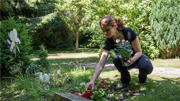 Ein Ort, den Insekten lieben: Mit der richtigen Bepflanzung kann man auf dem Friedhof Bienen und Co. Gutes tun.