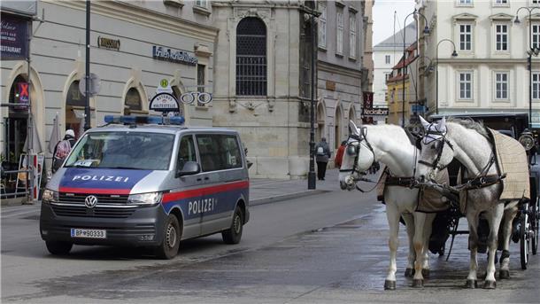 Ein Polizeiwagen neben einem Fiaker vor dem Wiener Stephansdom.