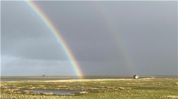 Langwarder Groden