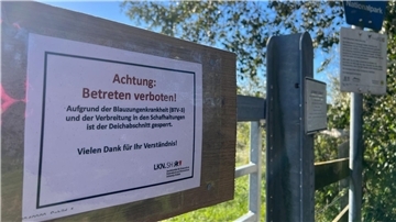 Ein Schild am Zugang zu einem Deich auf Sylt weist darauf hin, dass der Zutritt wegen der Blauzungenkrankheit gesperrt ist.