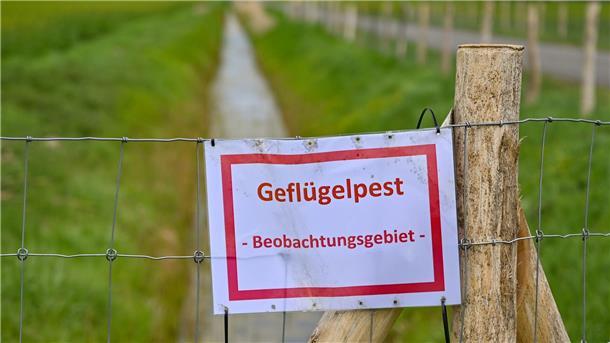 Ein Schild, die nun auch im Landkreis Cuxhaven zu sehen sein werden. Die Geflügelpest, auch Vogelgrippe genannt, breitet sich rasant aus.