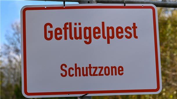 Ein Schild mit der Aufschrift „Geflügelpest Schutzzone“ ist nicht zu übersehen: Die Vogelgrippe greift auf immer mehr Geflügel-Betriebe im Landkreis Rotenburg über. 