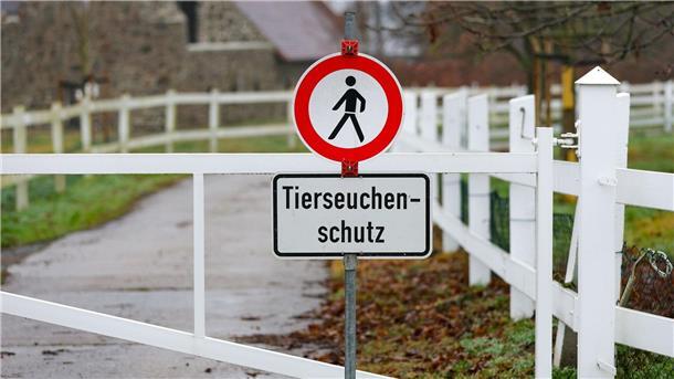 Hoffnung auf Immunität gegen Vogelgrippe Ein Schild verweist am Eingang zu einer Gänsezucht im sächsischen Wermsdorf auf den Tierseuchenschutz.