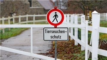 Ein Schild verweist am Eingang zu einer Gänsezucht im sächsischen Wermsdorf auf den Tierseuchenschutz.