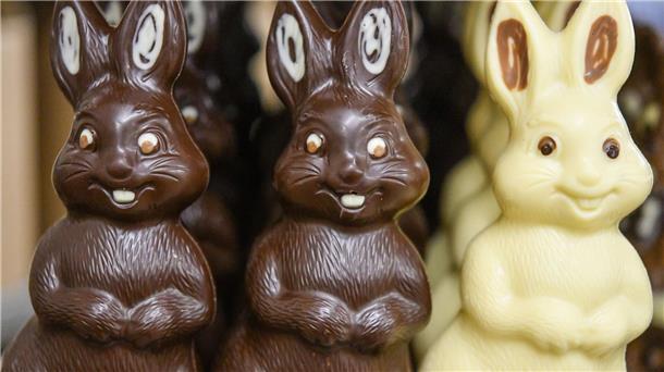 Ökobilanz von Schoko-Osterhasen: Je dunkler, desto besser Ein Schweizer Unternehmen für die Erstellung von Ökobilanzen stellt fest: je dunkler die Schokolade, desto besser für die Umwelt.