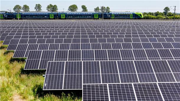 Hoffnungslos? Schlechte Chancen für Europas Solarindustrie Ein Solarfeld in Schleswig-Holstein.