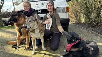 Ein Team: Wiebke Schornik (links) und Hundepsychologin Sarah-Lena Jaudzin mit Zeus, Chuck, Lily und Merlin. Dazu gehören auch noch Jaro, Jette, Chester, Erna und Lotus.