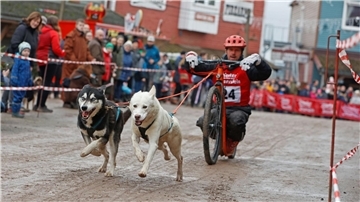 Ein Teilnehmer des 22. Internationalen Schlittenhunderennens in der Westernstadt Pullman City Harz bei der Rundenhatz.