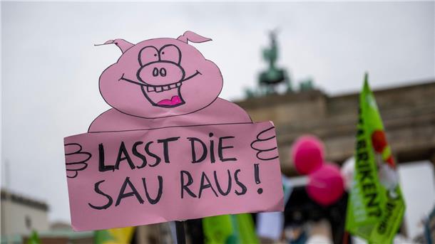 Mit Treckern für Tierschutz - Appell für Kampf gegen Hunger Ein Teilnehmer trägt auf der Demonstration vor dem Brandenburger Tor ein Plakat mit der Aufschrift „Lasst die Sau Raus!“.