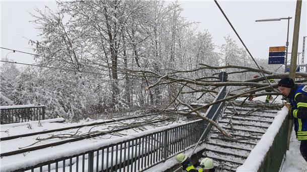 Umgestürzter Baum löst Stromschlag aus - zwei Verletzte Ein umgestürzter Baum an der S-Bahnhaltestelle St. Koloman in Wörth sorgt für Verletzungen.