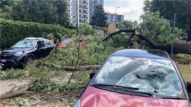 Ein umgestürzter Baum liegt neben beschädigten Autos in der norditalienischen Stadt Mailand.