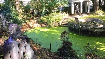 Ein verträumter Ort in Leherheide: In Thieles Garten darf die Natur weitgehend alleine regieren, das Gartenbauamt greift nur schonend pflegerisch ein.