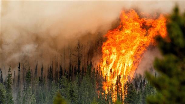 Bericht: Zerstörung von Wäldern weltweit hat 2022 zugenommen Ein Waldbrand wütet nahe Fort St. John in der kanadischen Provinz British Columbia.