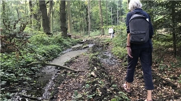 Die Wege im Brockeswald sind unpassierbar, schlammig und zerfurcht