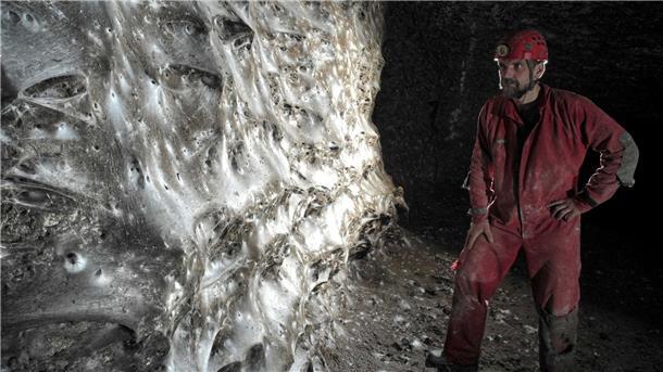 Ein Wissenschaftler vor dem riesigen Spinnennetz
