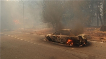Ein Auto ist den Flammen zum Opfer gefallen.