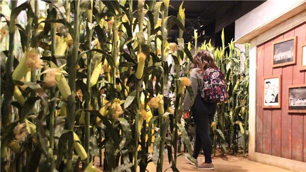 Eine Besucherin in einem Raum zum Musical „Oklahoma!“ im „Museum of Broadway“.