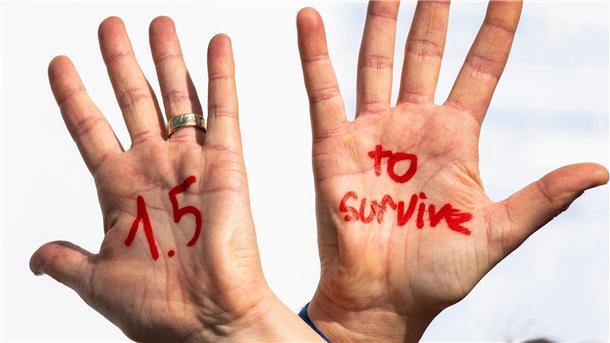 Eine Demonstrationsteilnehmerin bei einem UN-Klimagipfel hat sich mit roter Farbe „1.5 to survive“ (1,5 Grad, um zu überleben) auf die Hände gemalt. (Archivbild)