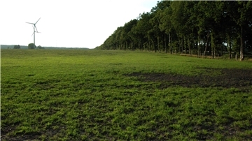 Eine der ausgewählten Potenzialflächen für Freiflächen-Photovoltaik am Selsinger Ortsrand nahe der B 71 und der Gemarkung Deinstedt