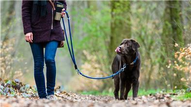 Eine Frau geht mit ihrem Hund spazieren. Noch bis Mitte Juli gilt in Niedersachsen Leinenpflicht während der Brut- und Setzzeit. In Wilstedt berät jetzt ein Arbeitskreis darüber, wie und ob Wildtiere auch danach geschützt werden können.