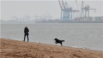 Eine Frau mit Hund geht bei bedecktem Himmel und leichtem Nieselregen am Elbstrand in Hamburg spazieren.
