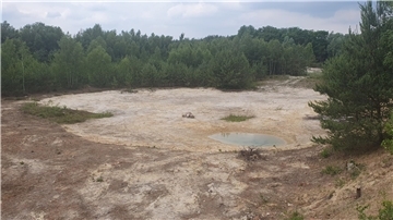 Das Foto zeigt die Sandkuhle bei Nartum. 