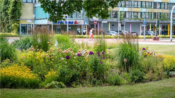 Warum es auf Grünstreifen in Bremerhaven wild aussieht Eine Ganzjahresbepflanzung wie am Flötenkiel ist nachhaltiger als wechselnde Blumenbeete.