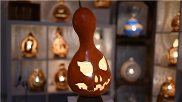 Halloween-Deko und ein Garten voller Flaschenkürbisse Eine handgefertigte Lampe aus einem Flaschenkürbis - mit Halloween-Fratze.