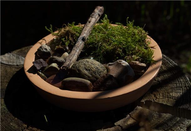 Eine ideale Insektentränke bietet den kleinen Nützlingen unterschiedliche Landeplätze und stellt sicher, dass sie nicht ins Wasser fallen.