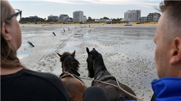 Eine Kutsche fährt über das Watt zwischen Cuxhaven Duhnen und Neuwerk. Nachdem die alte Strecke unpassierbar wurde, fand man einen neuen Weg durch das Watt zur Insel.