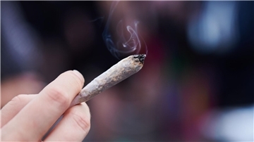 Eine Person hält einen Joint mit Cannabis in der Hand.