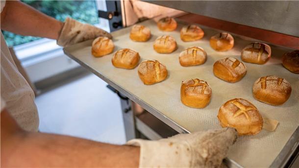 Immer weniger junge Leute machen Ausbildung zum Bäcker Eine Person schiebt ein Blech mit Brötchen in den Ofen.