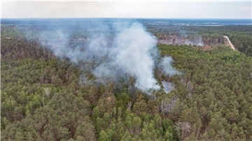 Eine Rauchwolke steht beim Waldbrand im Naturschutzgebiet bei Jüterbog über den Bäumen.