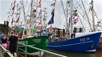 Das Foto zeigt mit Wimpelketten geschmückte Kutter im Hafen von Fedderwardersiel. Dort findet auch in diesem Jahr die Kutterregatta statt.