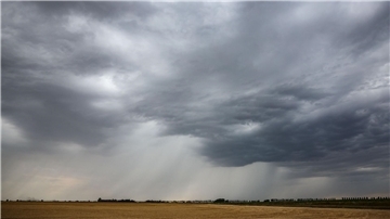 Eine Regenfront zieht über ein Getreidefeld hinweg.