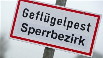 Schild mit der Aufschrift "Geflügelpest Sperrbezirk"