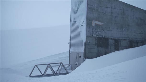 Weltbank für Samen: Spektakulärer Saatgut-Tresor füllt sich Eine schwere Stahltür führt eingebettet in einen spektakulären Betoneingang ins Innere eines schneebedeckten Berges. (Archivbild)